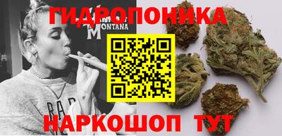 ПСИЛОЦИБИНОВЫЕ ГРИБЫ Абакан