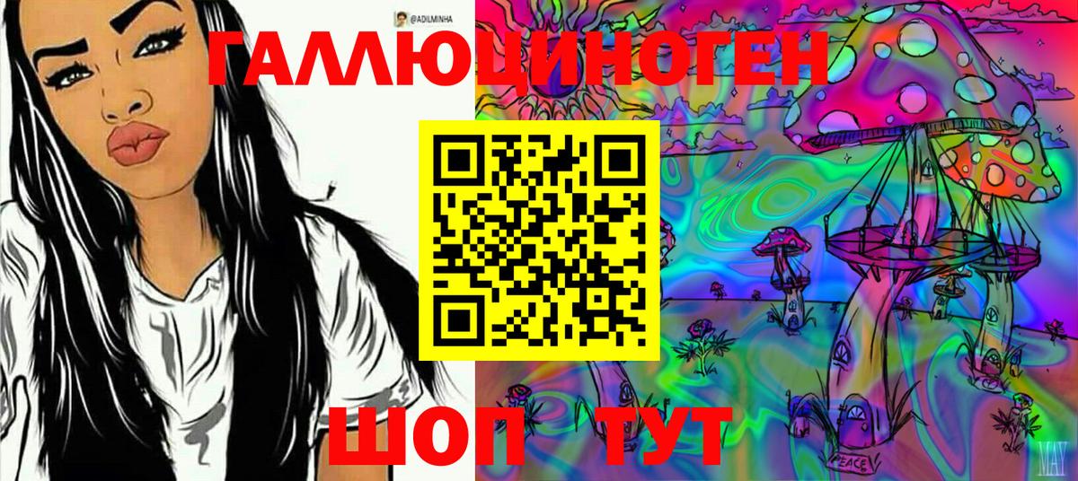 Псилоцибиновые грибы GOLDEN TEACHER Анжеро-Судженск