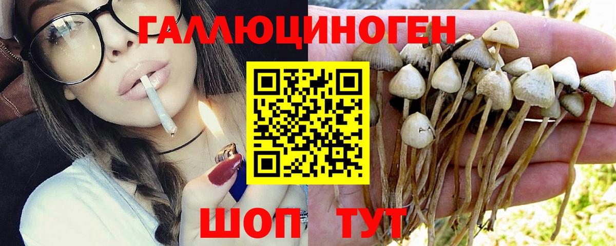 Анжеро-Судженск  Галлюциногенные грибы прущие грибы  Вход с VPN 
